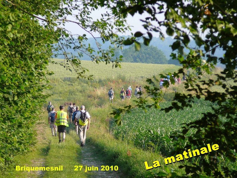 134_01 Briquemesnil.jpg